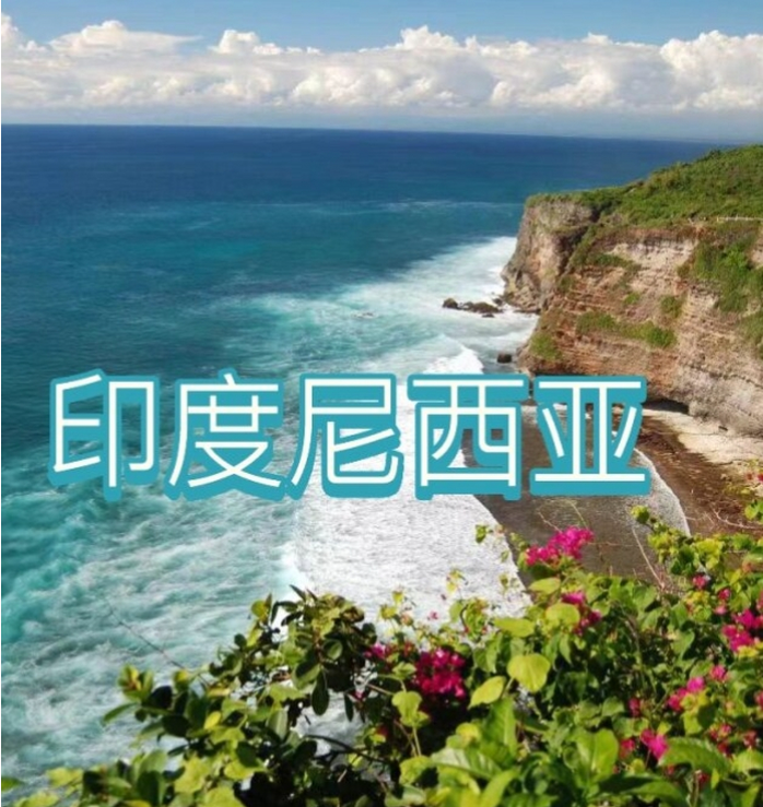 国国际电商(印尼)产业博览会AG真人游戏